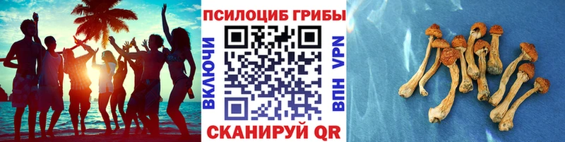 Псилоцибиновые грибы GOLDEN TEACHER  МЕГА зеркало  Стрежевой  купить  